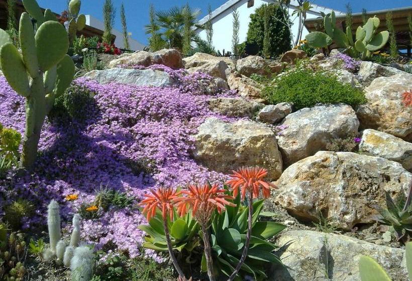 Bed & Breakfast | Guest House Casa Don Carlos