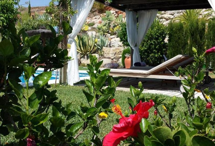 Bed & Breakfast | Guest House Casa Don Carlos