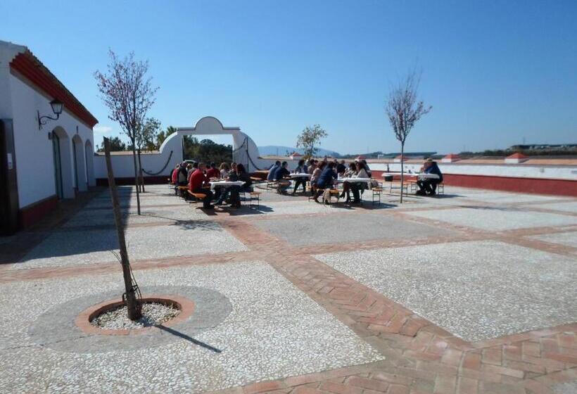 اقامتگاه Complejo Pueblo Blanco