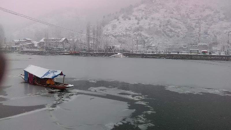 酒店 Island Homestay In Dal Lake