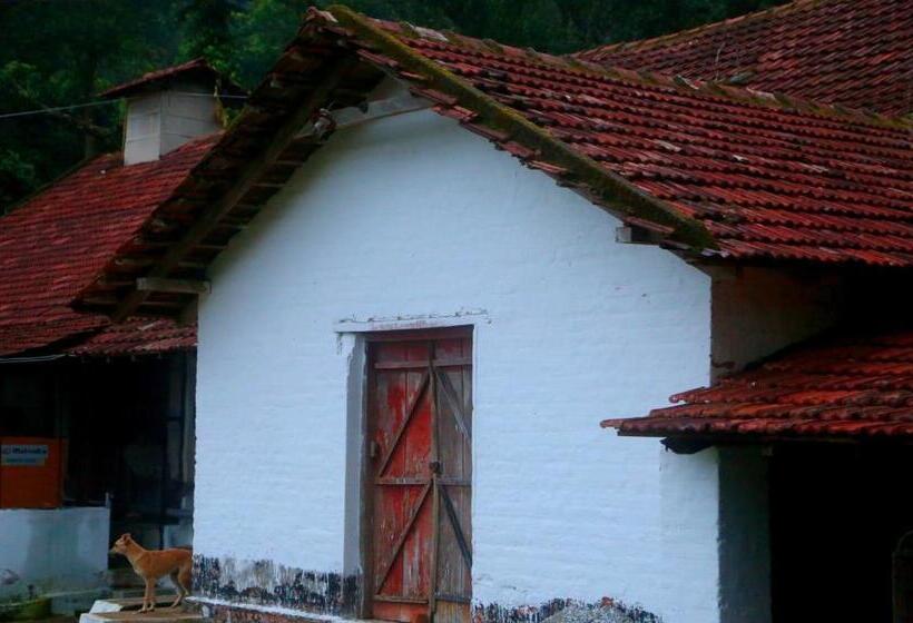 リゾートホテル Old Kent Estates & Spa, Coorg