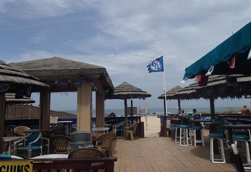 فندق على الطريق Coco Beach