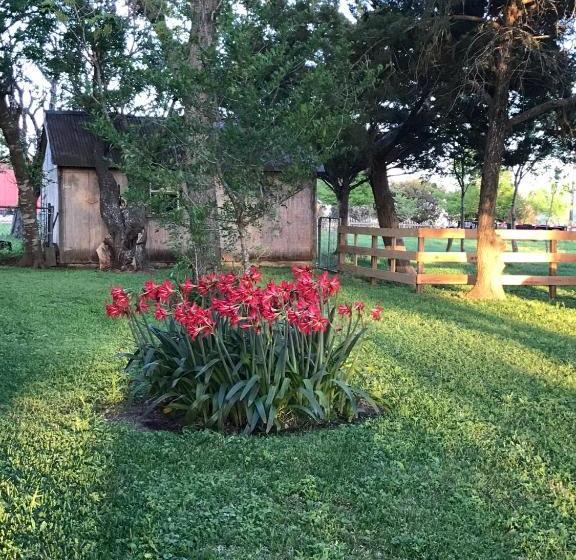 The Hoffmann Vacation Rental Bed & Breakfast