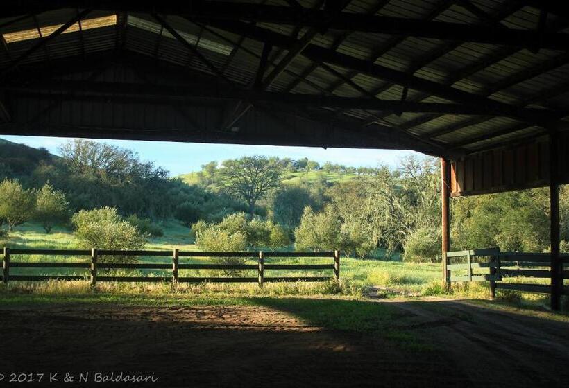 צימר The Eden House Vineyard