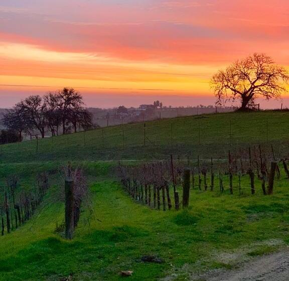 צימר The Eden House Vineyard