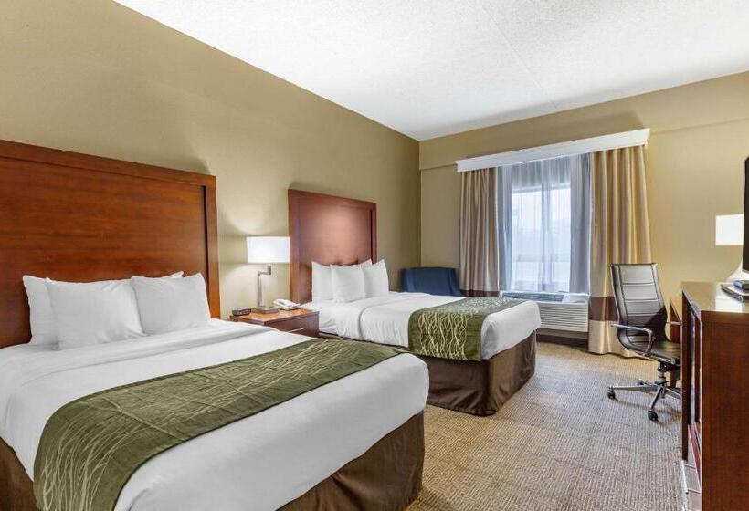 호텔 Comfort Inn Aikens Center