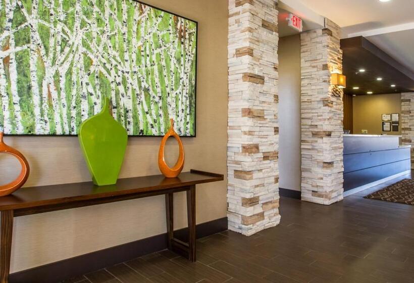 בית מלון כפרי Comfort Inn Sylva   Cullowhee