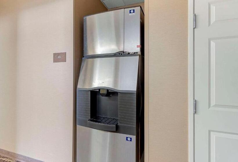 בית מלון כפרי Comfort Suites Normal University Area