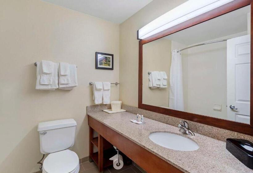 בית מלון כפרי Comfort Suites Normal University Area