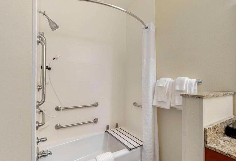 בית מלון כפרי Comfort Suites Normal University Area