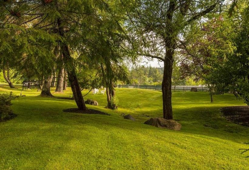 فندق Discovery Inn