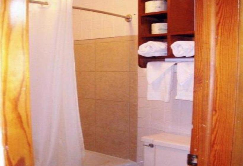 汽车旅馆  Budget Inn Palmyra