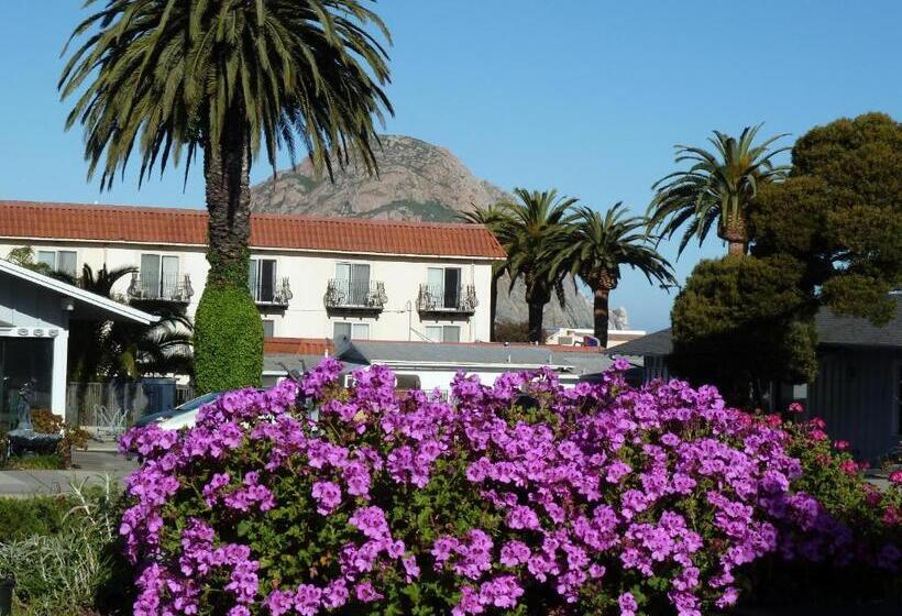 汽车旅馆  Sundown Inn Of Morro Bay