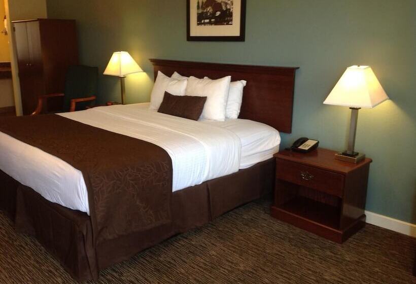 Мотель The Texas Lodge