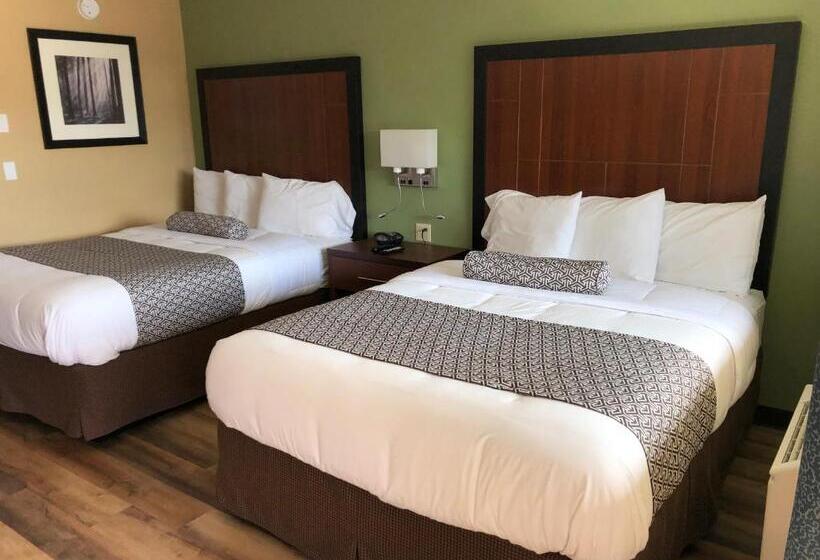 Knights Inn Motel