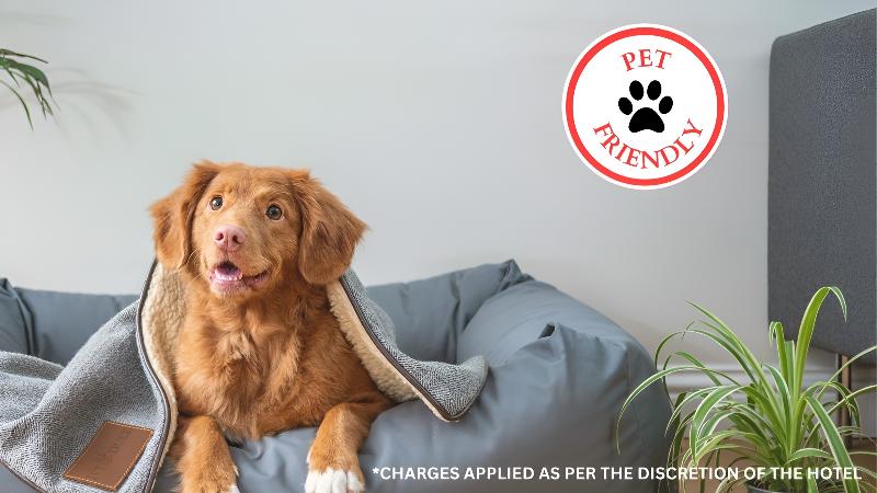 Мотель Oyo Hotel Bald Knob Near Searcy Ar