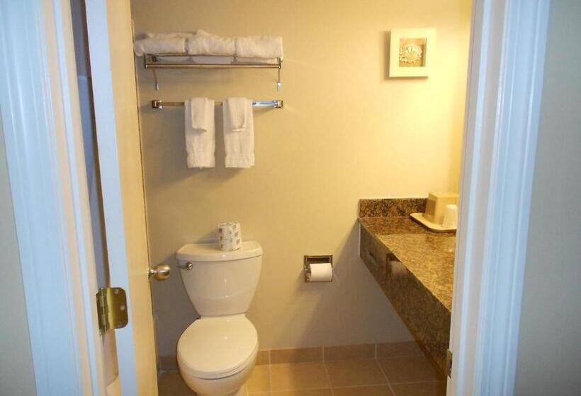 مُتل Cape Shore Inn