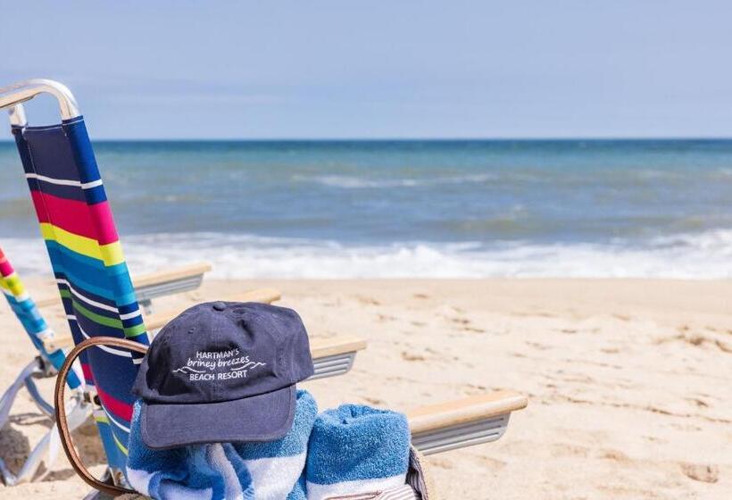 汽车旅馆  Hartman's Briney Breezes Beach Resort