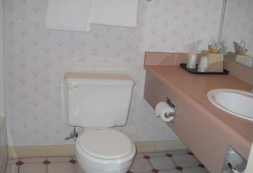 مُتل Palms Courtyard Inn