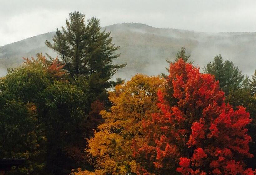 Wilderness Inn Bed And Breakfast