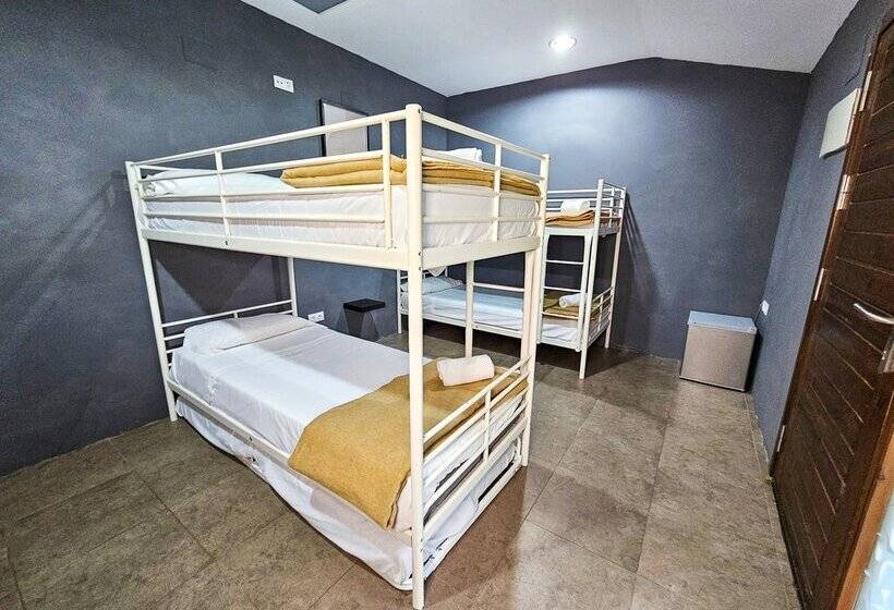 Hostel Backpacker Solopuent