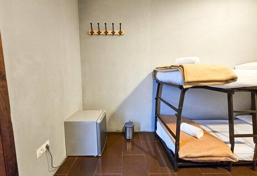 Hostel Backpacker Solopuent