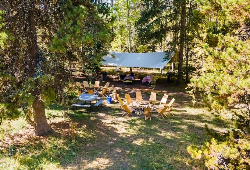 בית מלון כפרי Safari Glamping