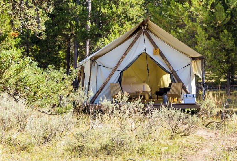 בית מלון כפרי Safari Glamping