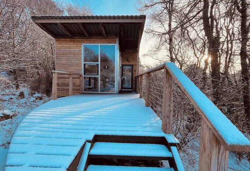 호텔 Lazybed Accommodation