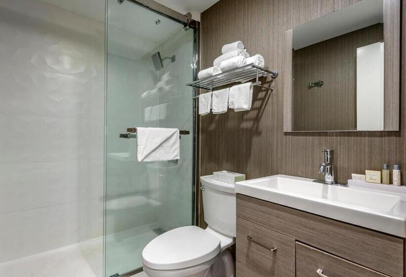 酒店 Amwell Suites Somerset/bridgewater