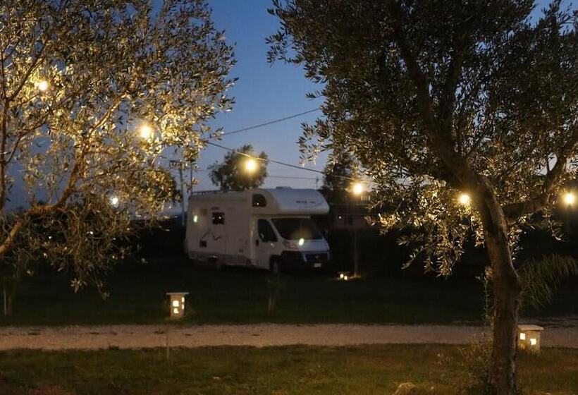هتل Campeggio In Fattoria