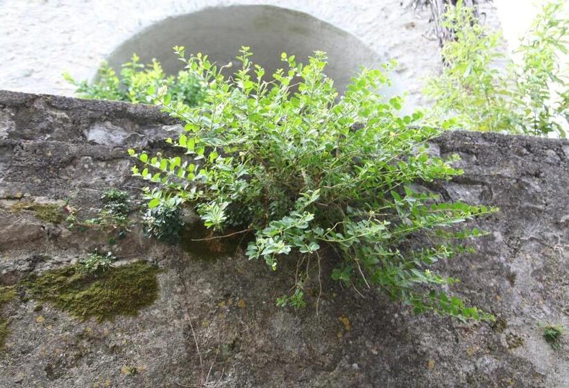 ベッドアンドブレックファースト Ospitalità Don Carlo