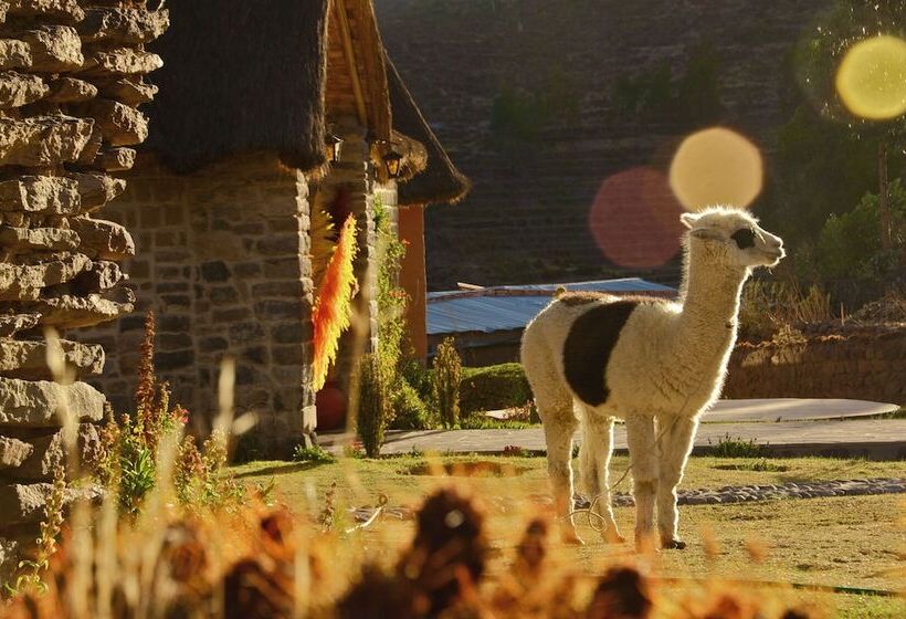 ホテル La Casa De Mamayacchi