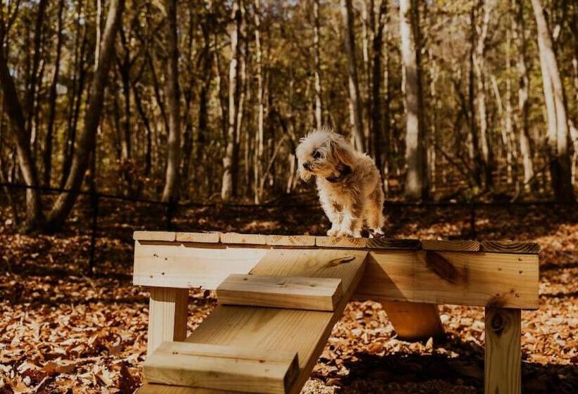 منتجع Game Room Luxury Glamping Tent Arcade Theme