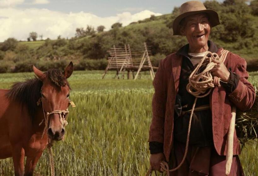 تختخواب و صبحانه Courtyard Shangri La 藏舍小院