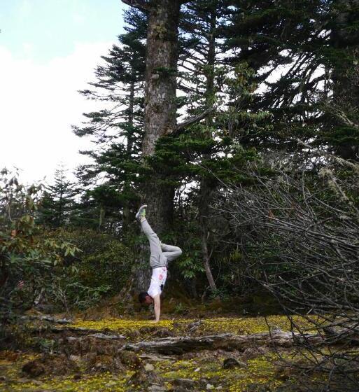 تختخواب و صبحانه Courtyard Shangri La 藏舍小院