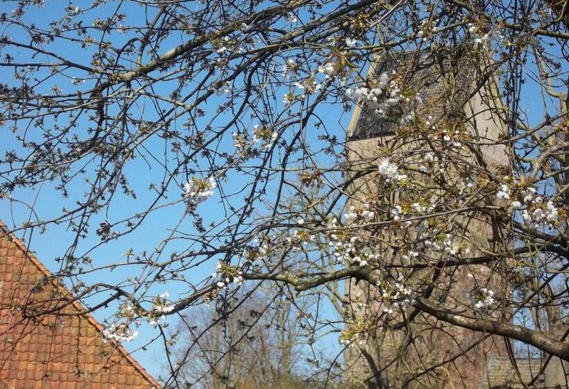 مبيت وإفطار T Griene Hemeltsje