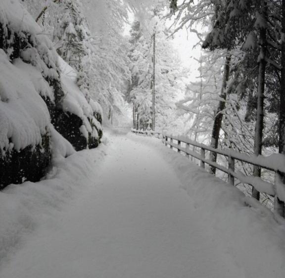 בית מלון כפרי Albergo Dei Pescatori