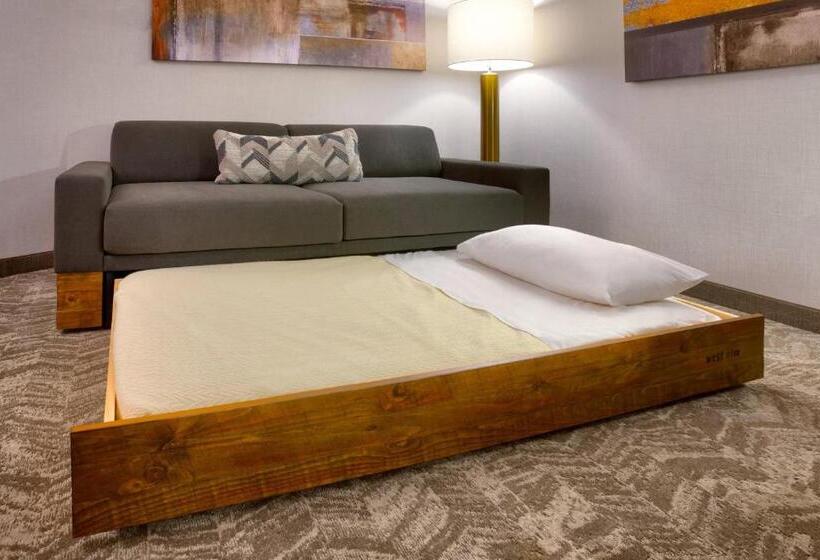 Отель Springhill Suites By Marriott Salt Lake City South Jordan