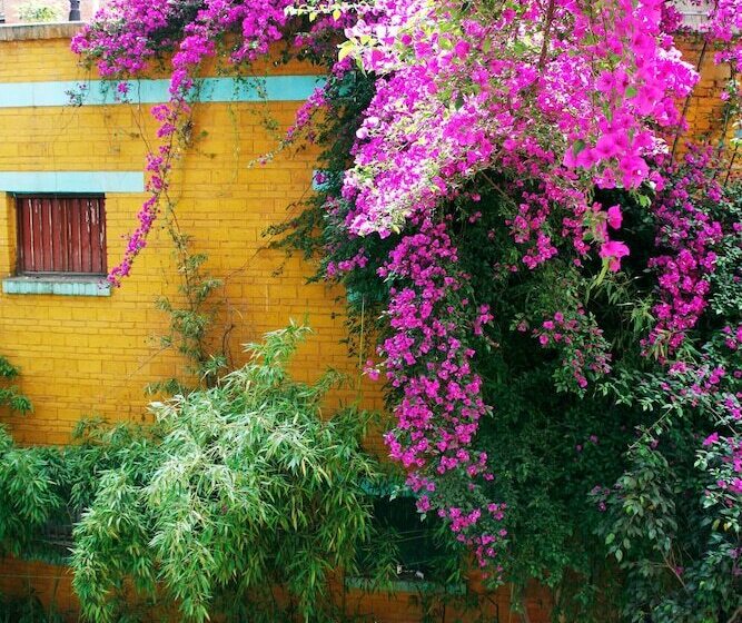 The Cloudland International Youth Hostel Close To The City Center,15 Min Walks To The Subway, Close