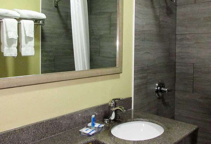 فندق Rodeway Inn