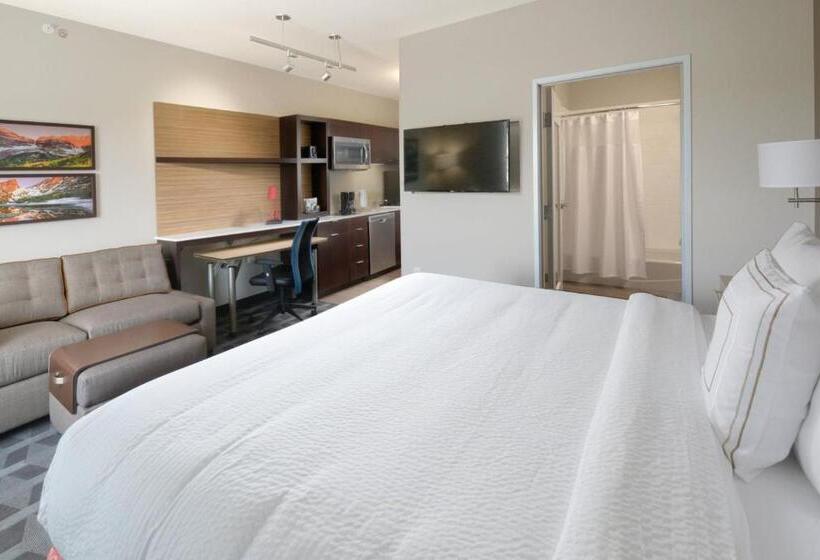 Отель Towneplace Suites By Marriott Denver South/lone Tree