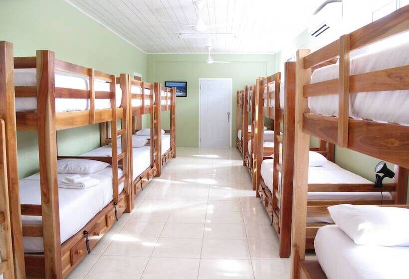 Just Next Door Hostel