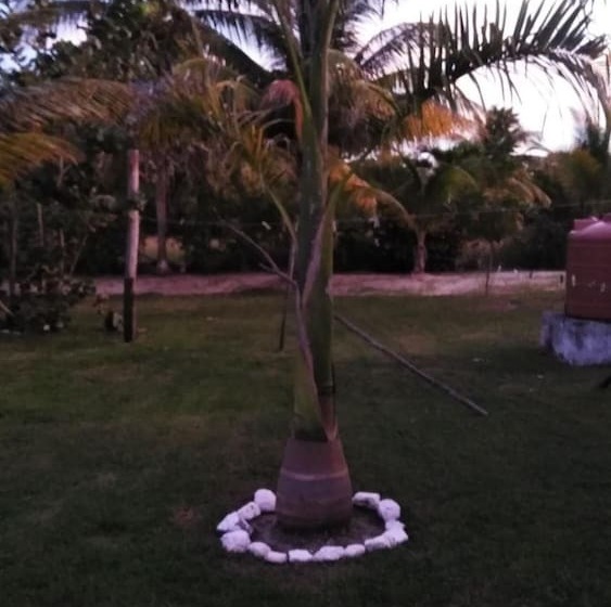 פנסיון Sugar Patch Inn