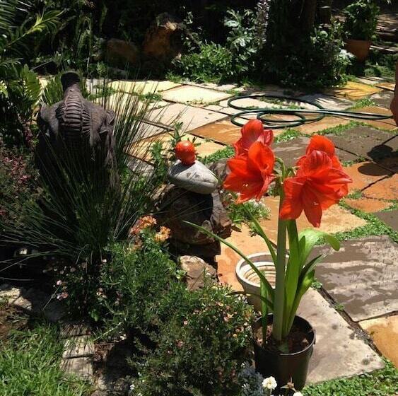 פנסיון Breena Bnb Guest House