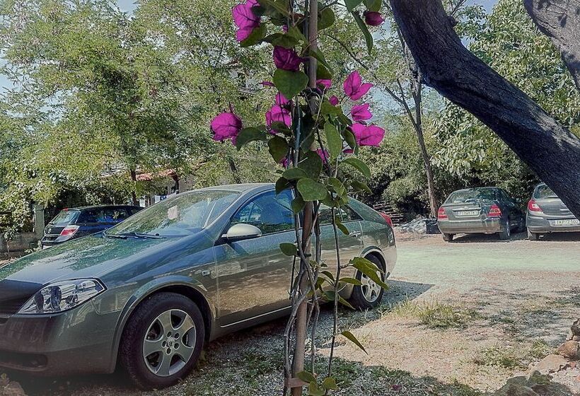 پانسیون Skourgias Rooms