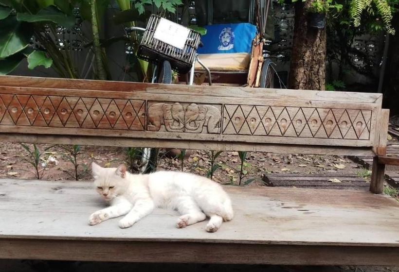 بنسيون Baan Rare Guesthouse