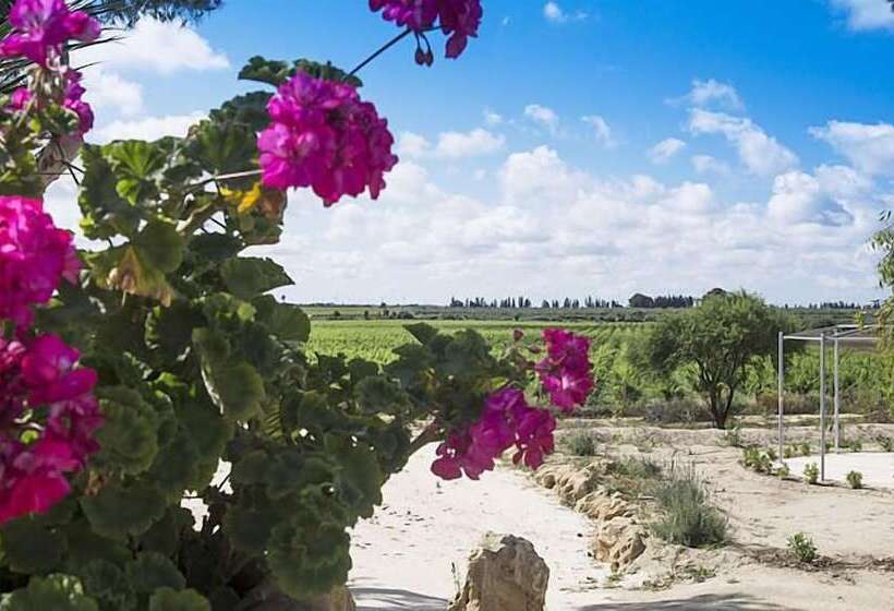 پانسیون Residence Casale Verderame