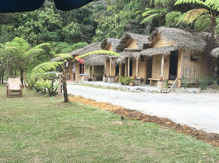 De  Native Guest House  Hostel