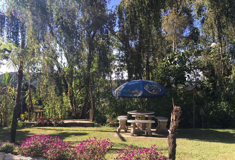 De  Native Guest House  Hostel